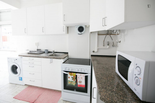Airy single bedroom close to Arroios metro station - Gallery - 13
