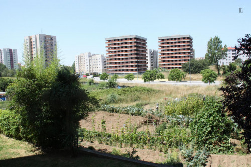 Pleasant 2-bedroom apartment in Ramalde
