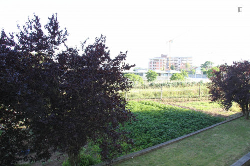 Pleasant 2-bedroom apartment in Ramalde