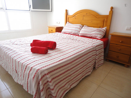 Affordable apartment in Puerto del Rosario  - Gallery -  5