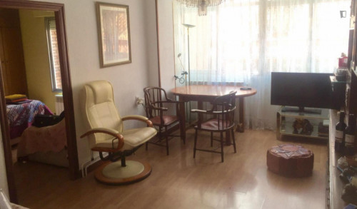 Big Double bedroom in 3-bedroom apartment
