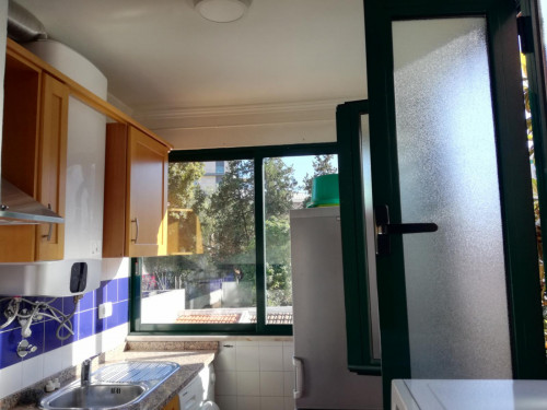 Excellent 1-bedroom duplex in Benfica, close to Instituto Politécnico de Lisboa - Gallery - 12