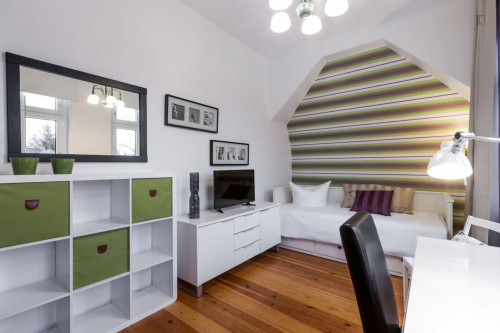 Cool single bedroom in 6-bedroom apartment