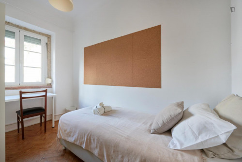Light single bedroom in a 7-bedroom flat, in Alameda - Gallery - 5