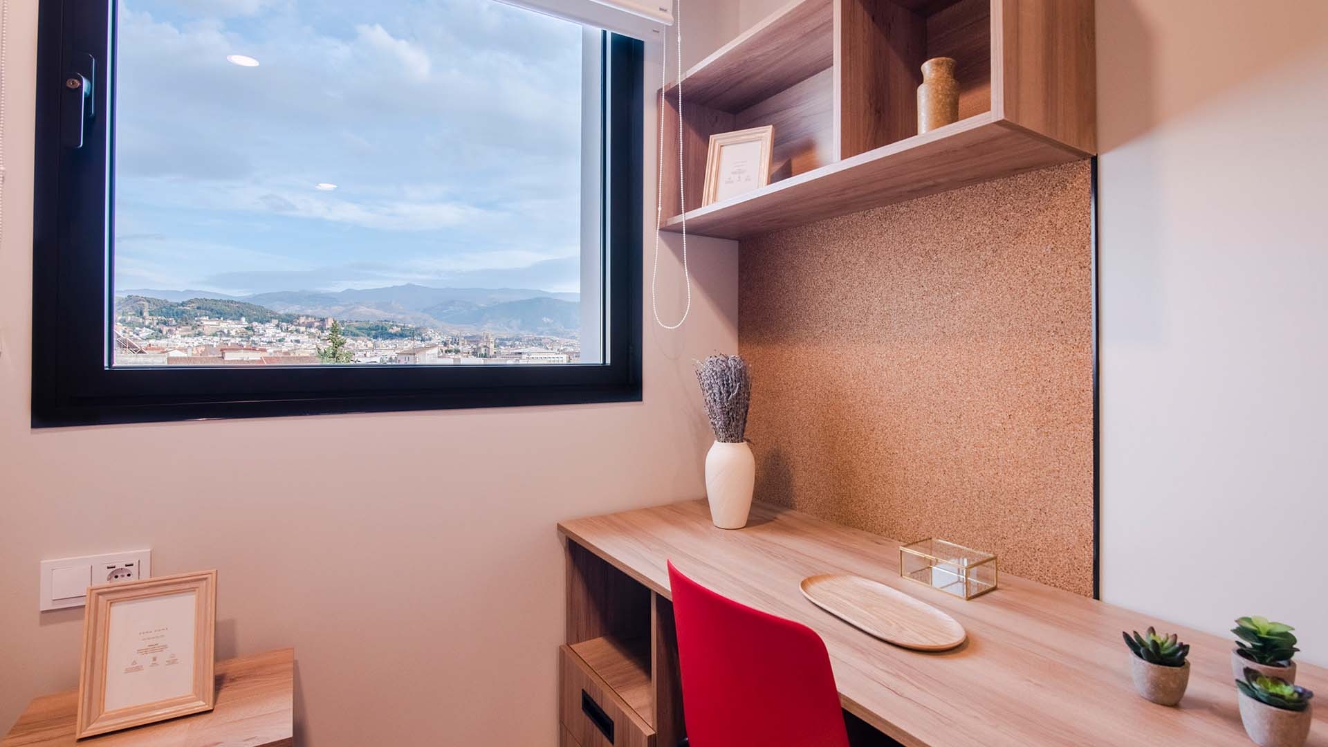 Studio With Kitchen - Premium - 4
