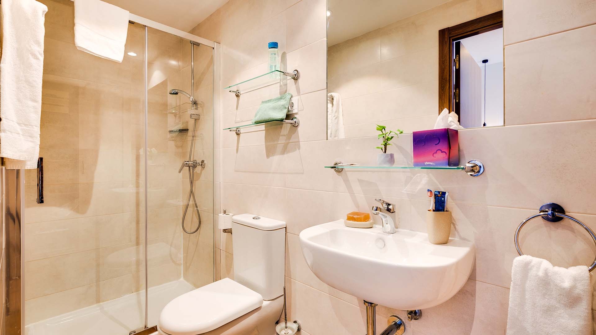 Premium Studio With Kitchen - 5