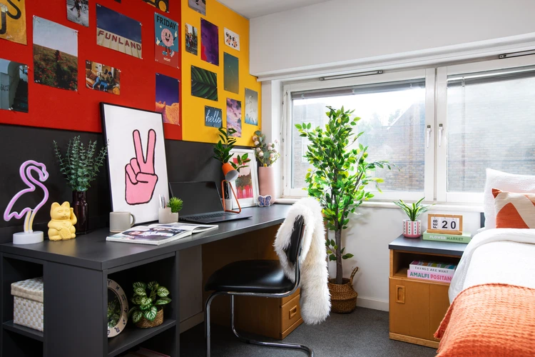  Standard Double Non En-Suite: Two Bedroom Flat  -  Cross Court House  - Gallery -  2