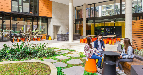 Iglu Chatswood  - Gallery -  5