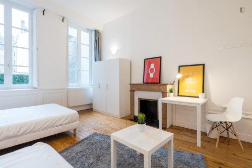 Nice double bedroom near the Carnot campus of Université Catholique de Lyon
