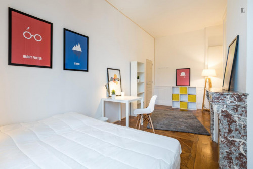 Nice double bedroom near the Carnot campus of Université Catholique de Lyon