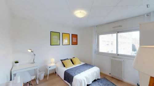 Luminous double bedroom near Parc Sergent Blandan