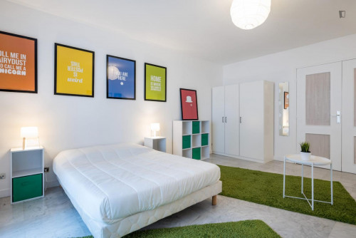 Large pretty double bedroom in La Guillotière-Sud