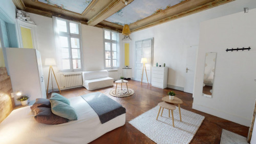 Spacious double bedroom in the heart of Montepellier