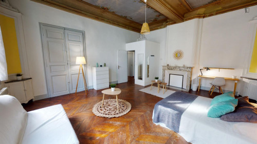Spacious double bedroom in the heart of Montepellier