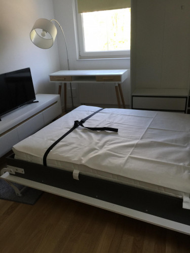 New elegant studio in Victoriastadt