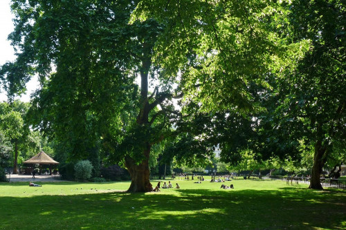 Lincoln’s Inn - Gallery - 6