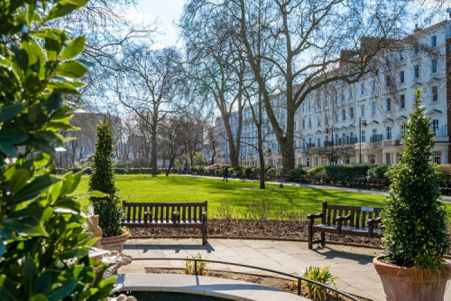 The Pimlico Collection - Gallery - 6