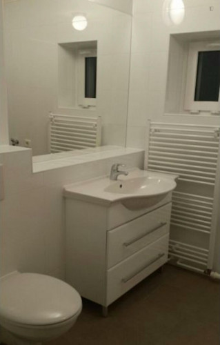 Cozy single bedroom in 6-bed apartment in Potsdam - Gallery - 7