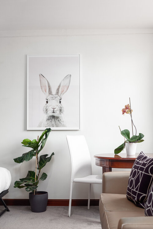 Albany Exec Studio (Twin Beds)  -  Albany Residences  - Gallery -  6