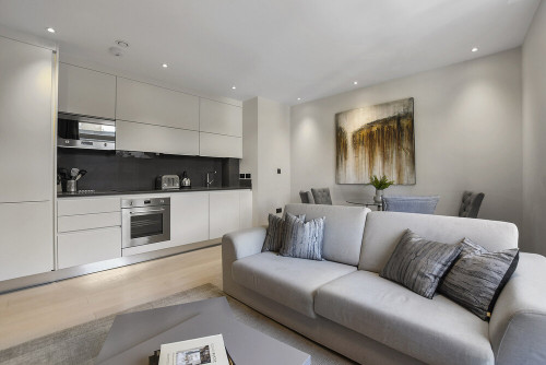 Vauxhall Bridge Rd - Gallery - 6