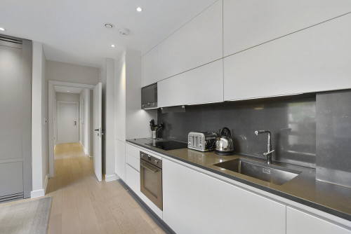 Vauxhall Bridge Rd - Gallery - 20