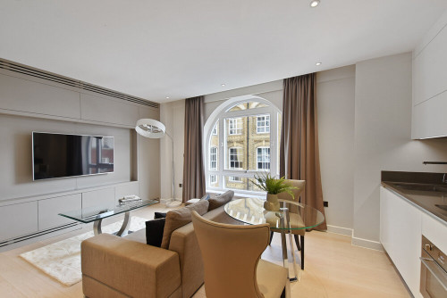 Vauxhall Bridge Rd - Gallery - 8