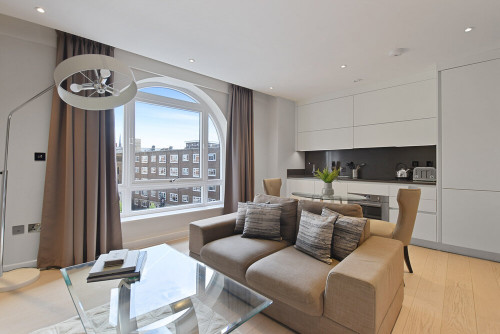 Vauxhall Bridge Rd - Gallery - 7