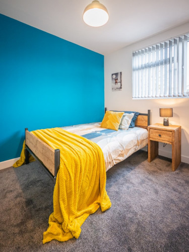 Winchester Street – Property 2 - Gallery - 3