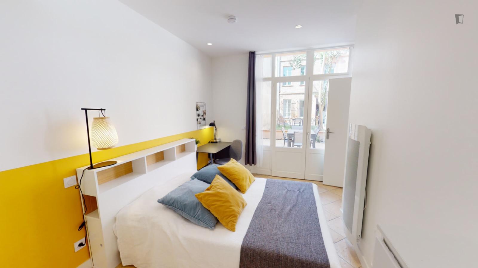 Delightful Ensuite Double Bedroom In The Centre Of Toulouse  -  Delightful ensuite double bedroom in the centre of Toulouse  - Gallery -  1