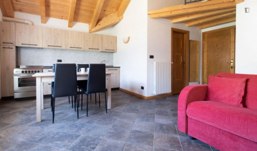 Delightful 1-bedroom apartment in Bormio - Gallery - 10