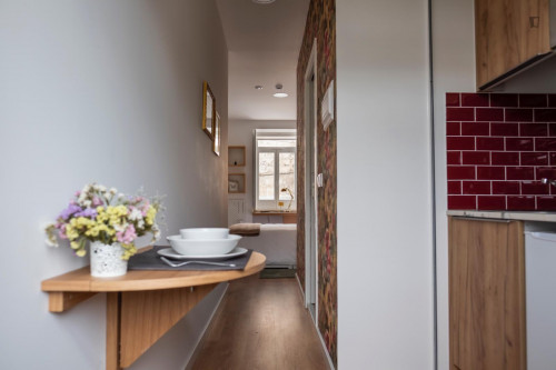 Wonderful studio in Montes Claros  - Gallery -  5