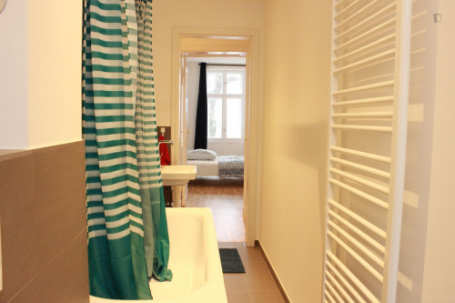 Comfy single bedroom in shared bedroom apartment in Pankow