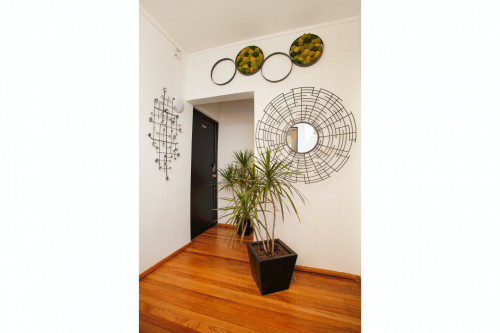 Condesa Residence - Gallery - 70