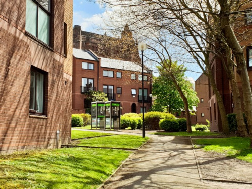 كاثيدرال كامبس