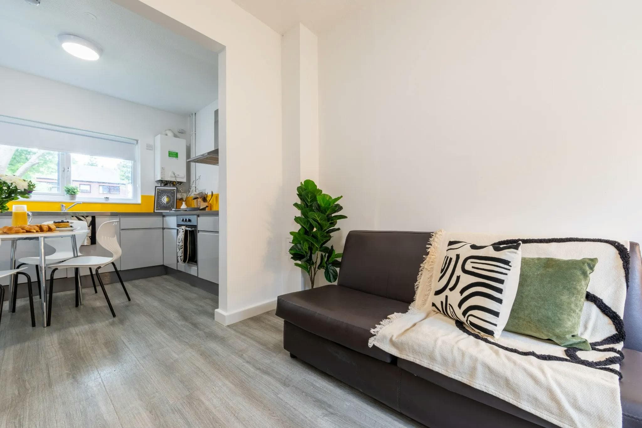 Planet Venus | 4 Bedroom House - Cathedral Campus - Gallery - 6