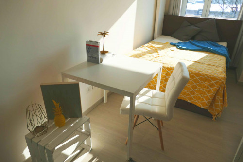 Bright double bedroom in Untergiesing - Harlaching