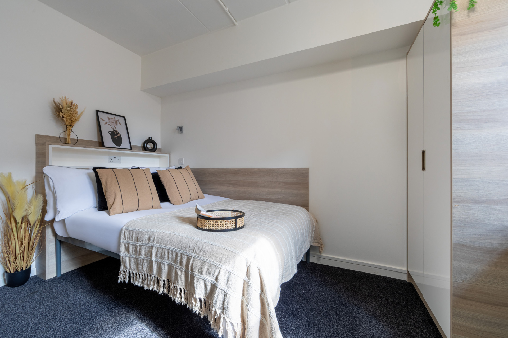  بلوتو بلس  -  Manchester Student Village  - Gallery -  23