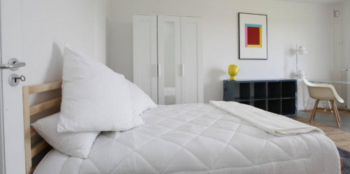 Spacious double bedroom in 4-bedroom apartment