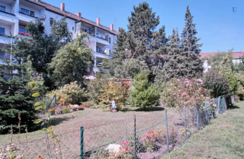 Bright single bedroom in a 3-bedroom apartment near U Grenzallee (Berlin) transport stop - Gallery - 6