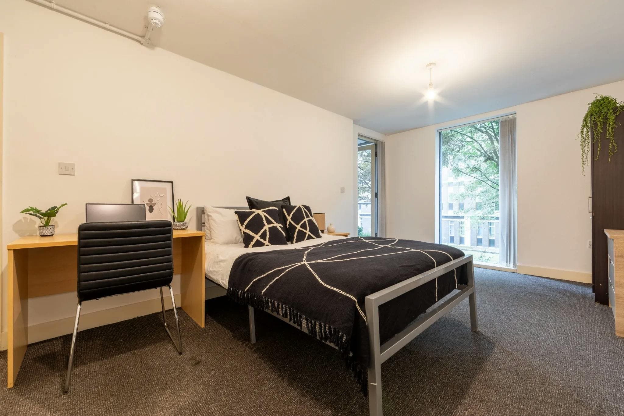 Gold Non En-Suite - The Grafton - Gallery - 6
