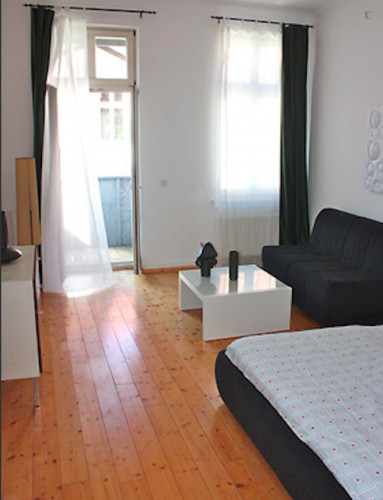 Compact and bright studio in Friedrichshain - Gallery - 18
