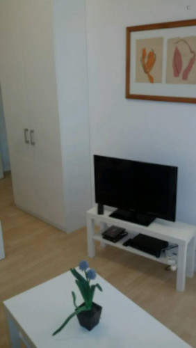 Bright and compact studio in Prenzlauer Berg  - Gallery -  4