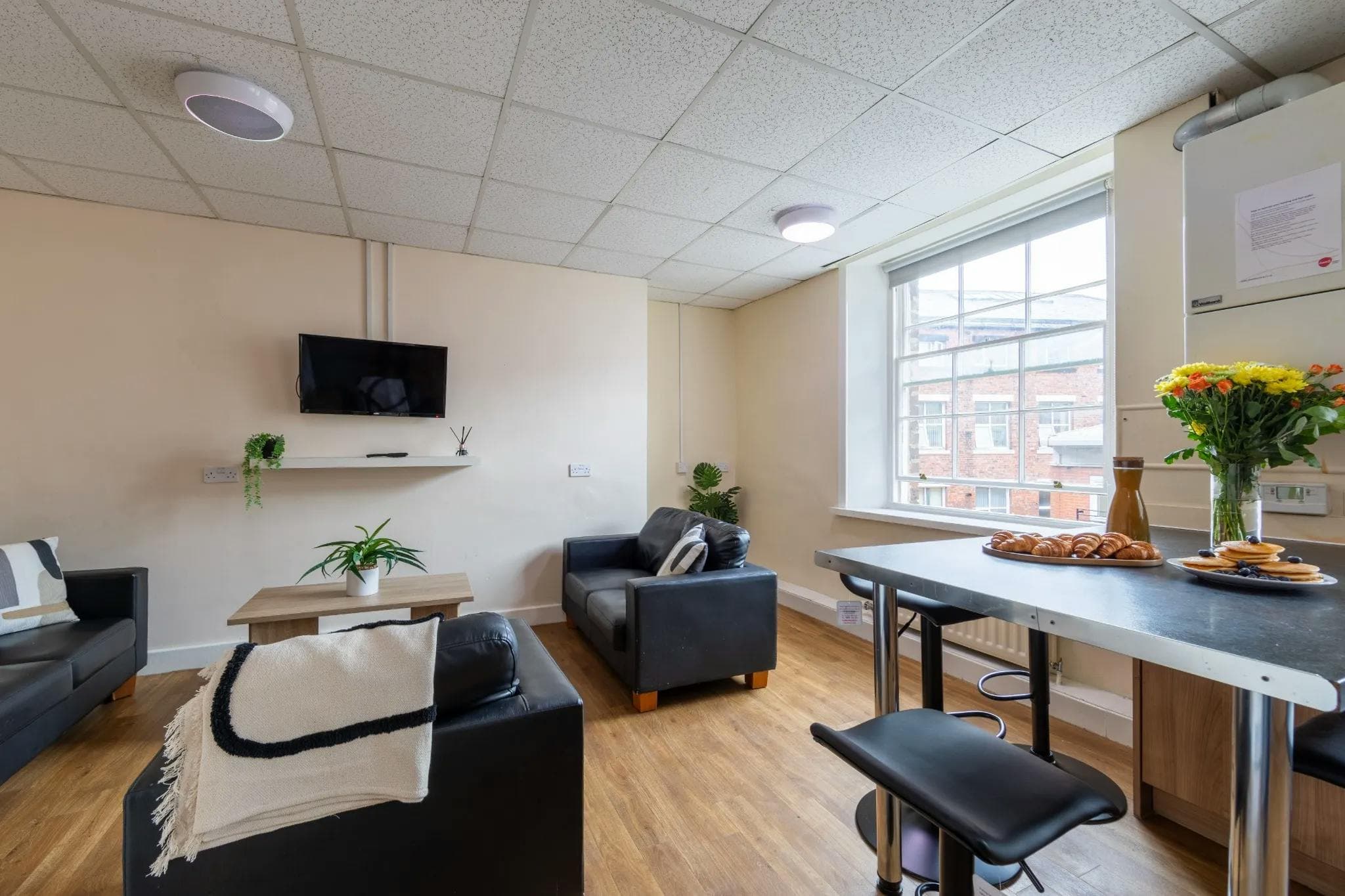 بلانيت ميركوري - Garth Heads - Gallery - 10