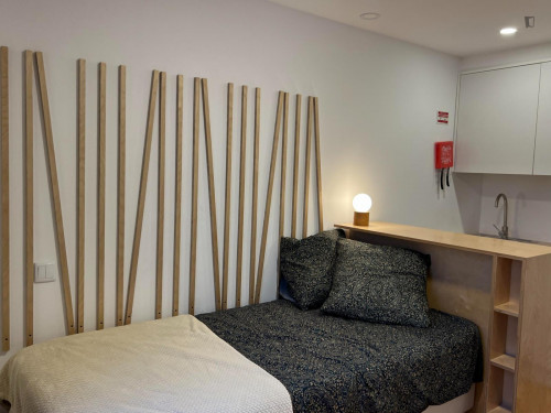 Lovely studio with view over the city, in Baixa de Santa Clara