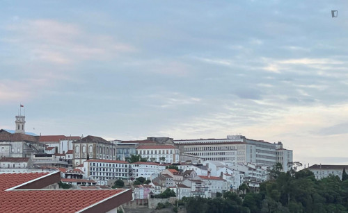 Lovely studio with view over the city, in Baixa de Santa Clara - Gallery - 8