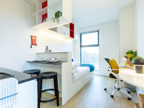 Spring Mews - Gallery - 33