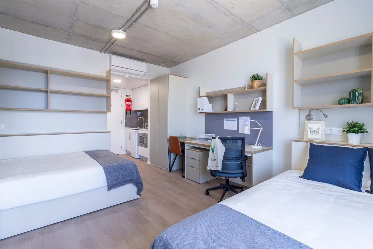  Twin Studio Superior  -  Campus Street  - Gallery -  1