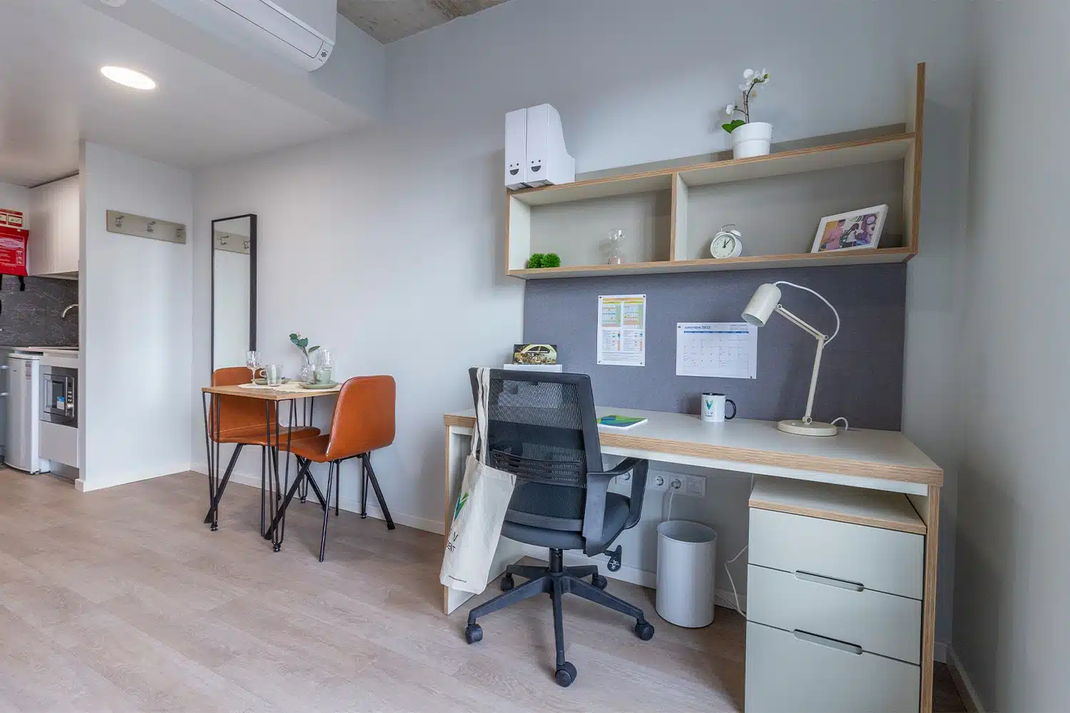  Single Studio Premium Plus  -  Campus Street  - Gallery -  1