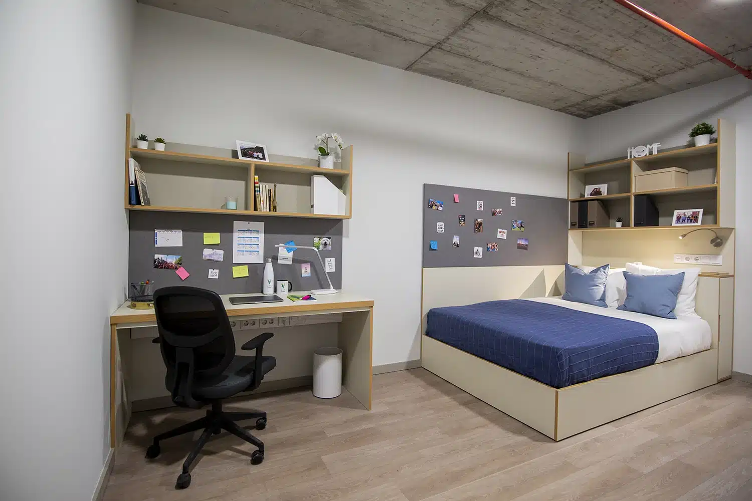  Single Studio Premium Plus  -  Polo universitario  - Gallery -  1