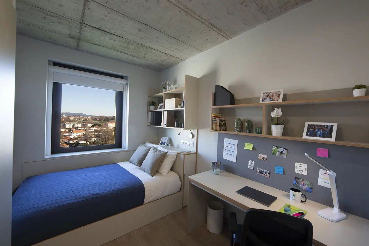 Cluster Single Premium Plus - Polo universitario - Gallery - 1